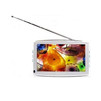 PROLOGY HDTV-70L white, автотелевизор (7
