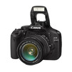 &ETH;&brvbar;&ETH;&cedil;&Ntilde;�&Ntilde;�&ETH;&frac34;&ETH;&sup2;&ETH;&frac34;&ETH;&sup1; &Ntilde;�&ETH;&frac34;&Ntilde;�&ETH;&frac34;&ETH;&deg;&ETH;&iquest;&ETH;&iquest;&ETH;&deg;&Ntilde;�&ETH;&deg;&Ntilde;� CANON EOS 550D Kit(18-135&ETH;&frac14;&ETH;&frac14;) black